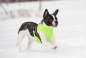 Puppia Softgeschirr Neon Harness A PAPA-AC1325 [Details]